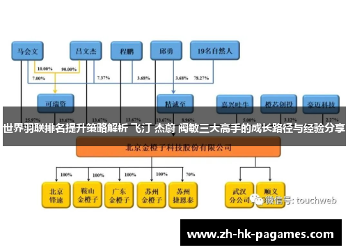 世界羽联排名提升策略解析 飞汀 杰蔚 阀敏三大高手的成长路径与经验分享