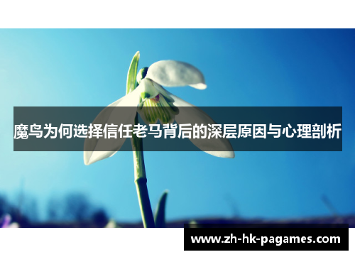 魔鸟为何选择信任老马背后的深层原因与心理剖析 魔鸟为何选择信任老马背后的深层原因与心理剖析