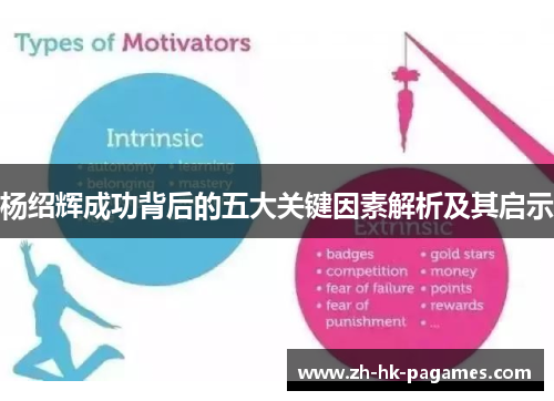 杨绍辉成功背后的五大关键因素解析及其启示