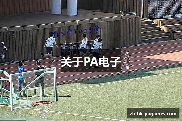 关于PA电子